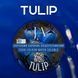 Барвник водорозчинний Latarte TULIP 10 г e5304e66-827b-11f0-89ea-a0a2aed1152f фото 2